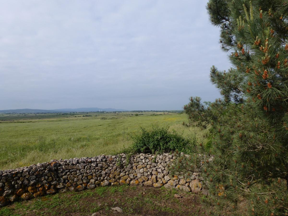 Agriturismo Nuragh'Elighe Sindia Экстерьер фото